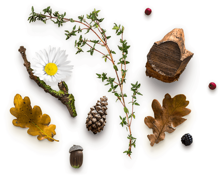 home_herbal_slider_pic